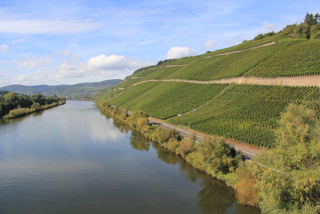 Hotel Zur Post Mulheim an der Mosel Exterior foto
